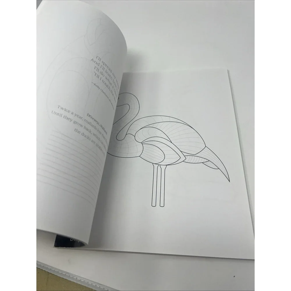 TangleEasy Birds Ben Kwok Zentangle Design Templates Coloring Art Book NEW NOS